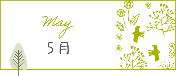 5月