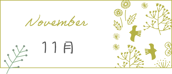 11月