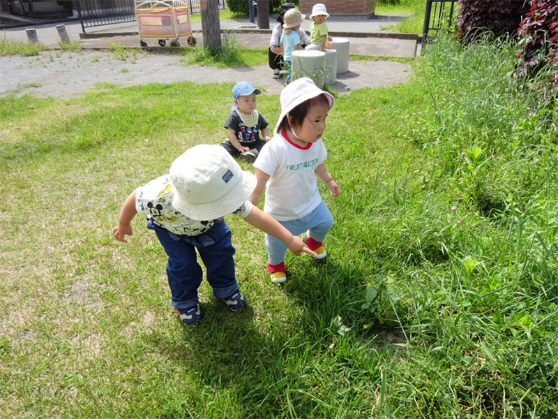 みどりの園